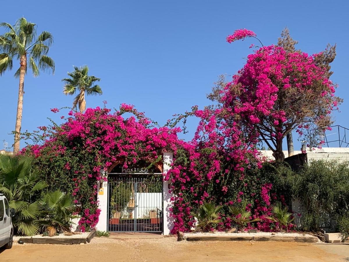 Casa Tranquila Villa San Juan De Los Terreros Bagian luar foto